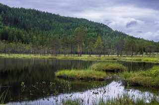 Норвегия, река Glomma и Atna river: ловля форели и хариуса спиннингом и бомбардой на течении