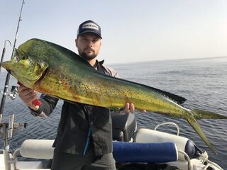 Морская рыбалка в ОАЭ: Фуджейра, махи-махи, тунец и парусник у воблера