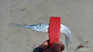 ОАЭ, Шарджа: рыбалка с пляжа у отеля на пилькеры, отводной и закидушку