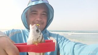 ОАЭ, Шарджа: рыбалка с пляжа у отеля на пилькеры, отводной и закидушку