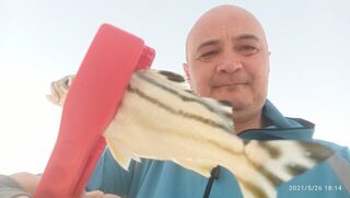 ОАЭ, Шарджа: рыбалка с пляжа у отеля на пилькеры, отводной и закидушку