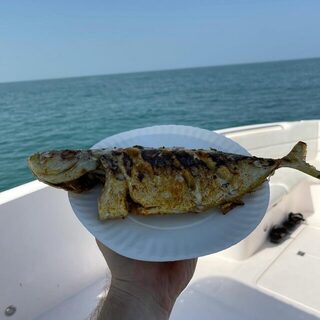 Дубай, ОАЭ: морская ловля хамура на живца и хороший утренний улов тревалли