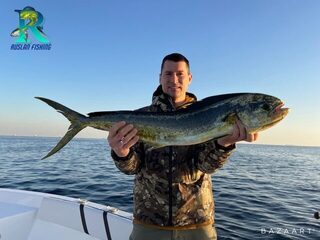 Морская рыбалка в ОАЭ: Фуджейра, махи-махи на живца с утреннего выхода