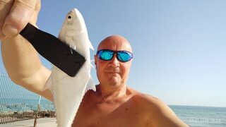 ОАЭ, пляж Occidental: ловля саргана на блесну в отлив у камней с берега