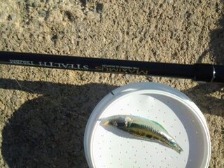 Греция, Родос: морская рыбалка с поплавком, опарышем и телескопическим удилищем