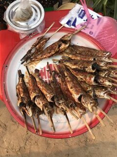 Мьянма, Нгапали: морская рыбалка в заброс и троллинг - какие снасти стоит брать с собой