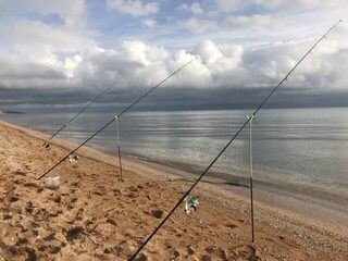 Азовское море: три недели ежедневного поиска и ловли пиленгаса у берега