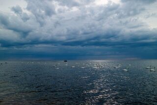 Балтийское море: береговая ловля саргана на блесну во время короткого вечернего подхода