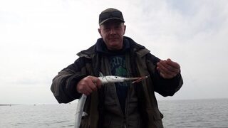 Балтийское море: первый сарган у Жени на спиннинг и креветку с поплавком