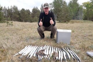 Балтийское море: первый сарган у Жени на спиннинг и креветку с поплавком