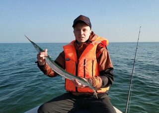 Калининградская область, Калининград - ловля саргана вместо судака у стадиона