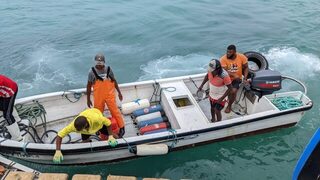 Морская рыбалка на Кабо-Верде: сарган, эмберджек и Блюраннер на приманки