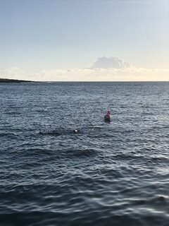 Мальта в марте 2019 года: морской спиннинг, дракон и окунь на море в шторм