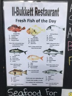 Мальта в марте 2019 года: морской спиннинг, дракон и окунь на море в шторм