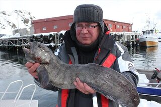 Морская рыбалка в Северной Норвегии у острова Сёрёйя: поездка за крупной рыбой