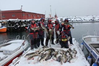 Морская рыбалка в Северной Норвегии у острова Сёрёйя: поездка за крупной рыбой