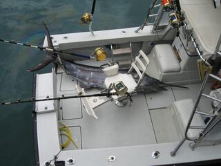 Тенерифе, Колон: морская ловля на имитацию кальмара в 5-6 км от берега