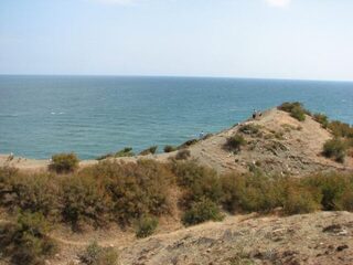 Рыбалка на Чёрном море с берега: донный бычок на рапана, мидию и креветку