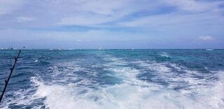 Доминикана: морская рыбалка с лодки за дорадо, ваху, макрелью и барракудой