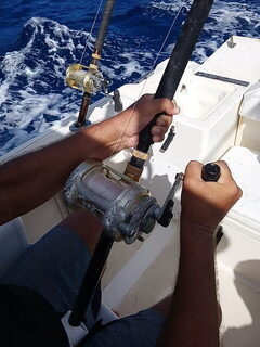 Рыбалка в Доминикане: выход в море из Bayahibe, троллинг с лодки и кастинговая удочка