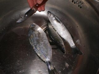 Испания, Коста-дель-Соль, Бенальмадена: морская рыбалка с берега, ловля на хлеб и поплавок