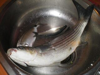 Испания, Коста-дель-Соль, Бенальмадена: морская рыбалка с берега, ловля на хлеб и поплавок