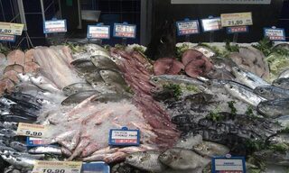 Морская рыбалка в Италии, на Сардинии: нырял у валунов и ловил с берега