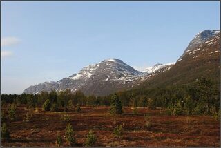 Норвегия, Сенья и Gryllefjord: морская ловля трески, пикши и окуня в океане в конце мая