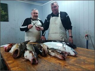Норвегия, Сенья и Gryllefjord: морская ловля трески, пикши и окуня в океане в конце мая