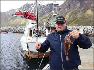 Норвегия, Сенья и Gryllefjord: морская ловля трески, пикши и окуня в океане в конце мая