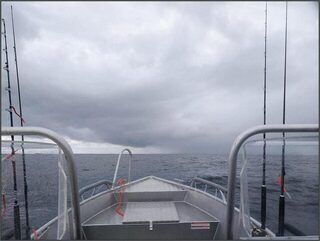 Норвегия, Сенья и Gryllefjord: морская ловля трески, пикши и окуня в океане в конце мая