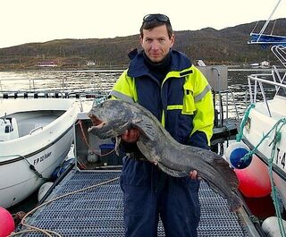 Норвегия, Норвежское море: морская рыбалка на зубатку и глубоководного окуня