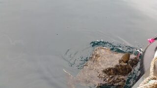 Норвегия, августовская морская рыбалка с лодки: недельный выезд команды на север страны