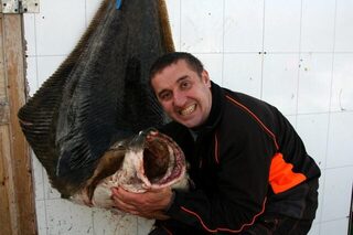Норвегия: морская ловля палтуса с лодки, рекордный трофей на 63 кг после почти получаса борьбы