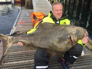 Норвегия: морская рыбалка с лодки, палтус на снасточку и честные 45 кг
