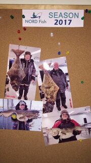 Морская рыбалка у Анденеса в Норвегии: ежедневная ловля трески с катера при ветре 6-8 м/с