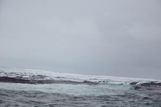 Первая морская рыбалка в Норвегии, Репвог: сильный дрейф, волна и треска после шторма