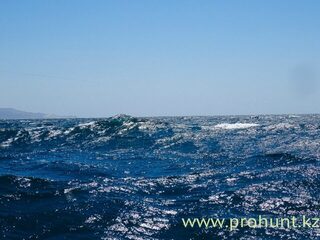 Тумбес, Перу: морская рыбалка троллингом за махи-махи, тунцом и желтохвостиком в океане
