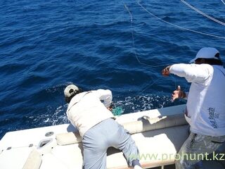 Тумбес, Перу: морская рыбалка троллингом за махи-махи, тунцом и желтохвостиком в океане
