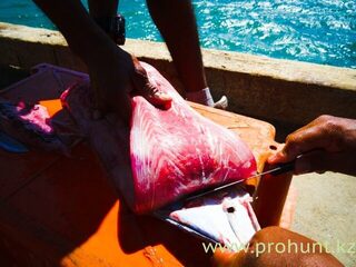 Тумбес, Перу: морская рыбалка троллингом за махи-махи, тунцом и желтохвостиком в океане