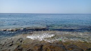 Морская рыбалка в Турции: в Алании ракушка сработала лучше курицы на море