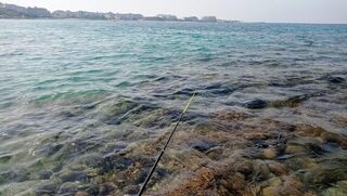 Рыбалка в Турции, Алания: ночные поклевки на пляже и ловля у камней в жару