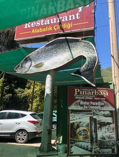 Морская рыбалка в Египте, Марса-Алам: местные подсказки, поездки и поиск хорошей рыбы