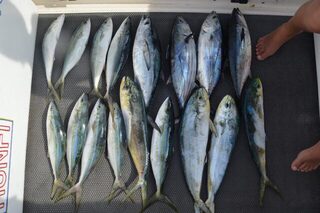 Таиланд, Пхукет: морская рыбалка среди мусора, дорадо и сходов макрели