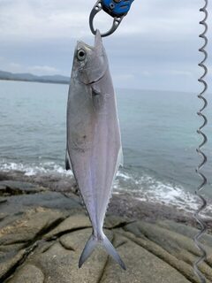 Таиланд, пляж Карон: морская рыбалка с камней на отливе у берега в сложных волнах Пхукета