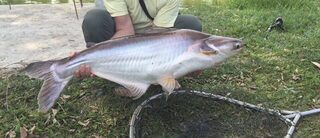 Таиланд: морская рыбалка с пляжа с учетом приливов, волны и известных местных рыбных мест