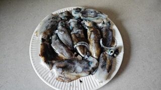 Таиланд, остров Ко Лан: пляжная ловля на воблеры, кальмаров и груперов