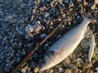 Турция, Анталийское побережье: морская рыбалка с воблерами Daiwa и рабочими цветами