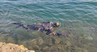 Турция: морская рыбалка с забросами приманок на глубинах у берега Мармариса