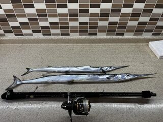 Турция, Ташуджу: морская рыбалка с берега на мысе в разгар дневной жары